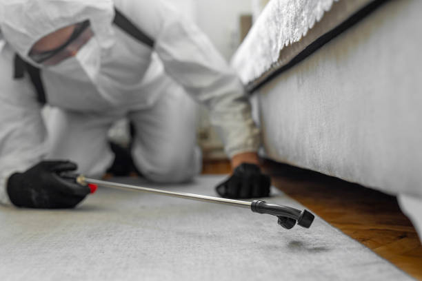 Professional Bed Bug Control technician working in Del Mar, CA