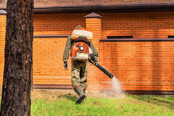 Trusted Mosquito Control service in Del Mar, CA - Nex Pest Control